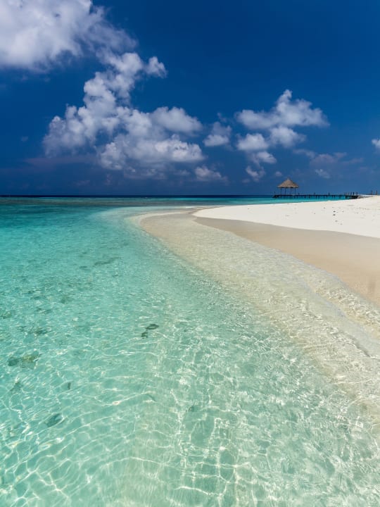 An der Sandbank Veligandu Maldives Resort Island
