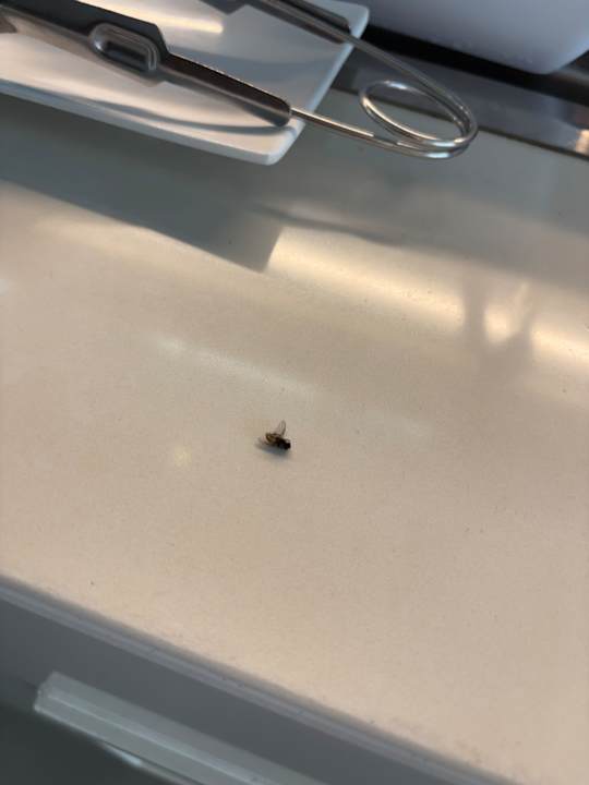 Sonstiges Hotel Riu Palace Boavista