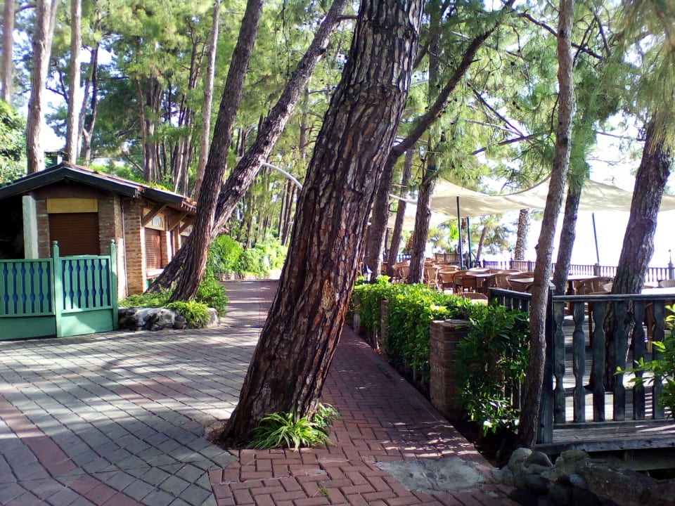 Gartenanlage Labranda Mares Marmaris