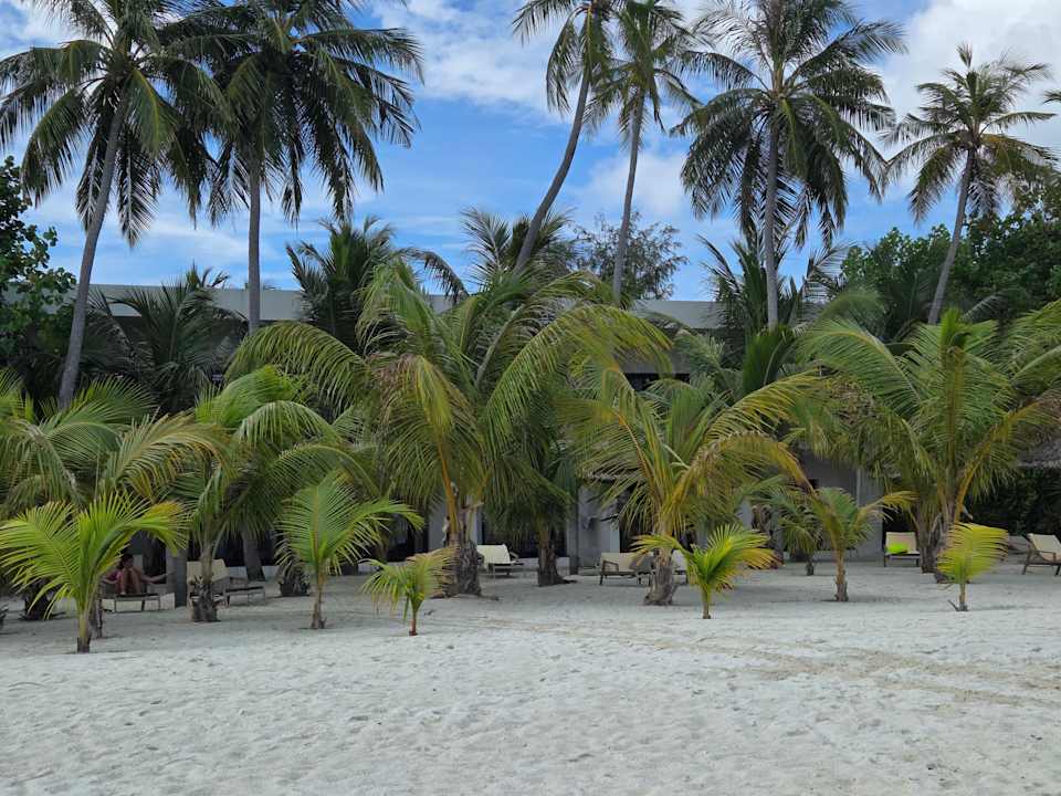Außenansicht Hotel Riu Atoll