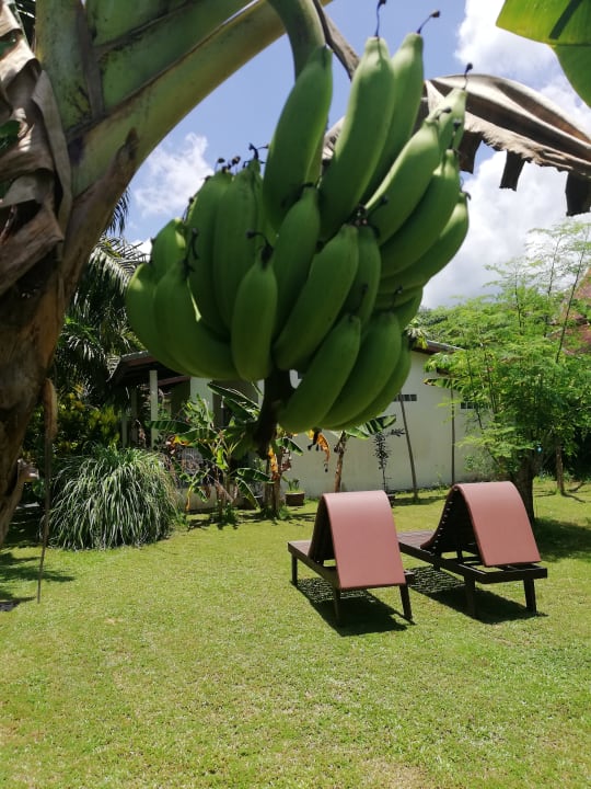 Gartenanlage Aathid Garden Khao Lak