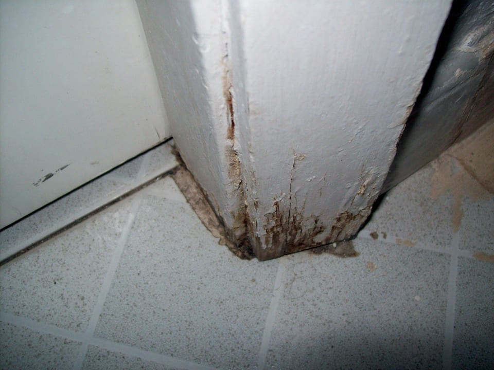 Auf dem Weg ins Badezimmer Servatur Playa Bonita