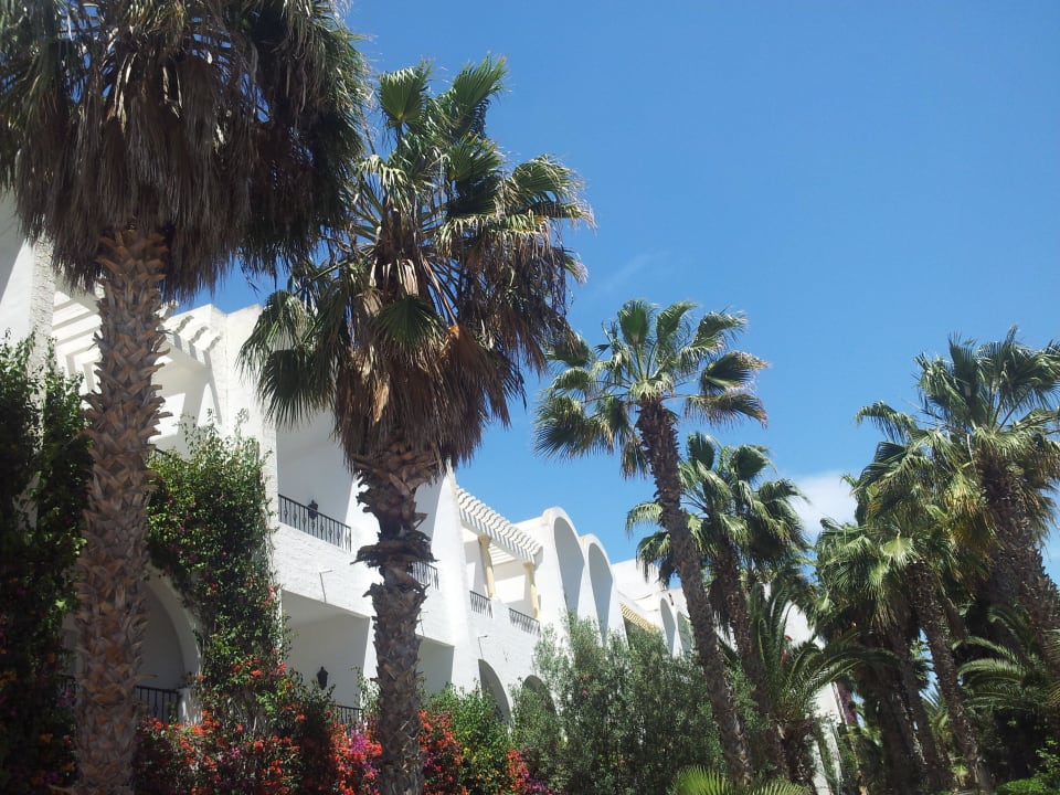 Hotel Poolansicht Hotel Nesrine