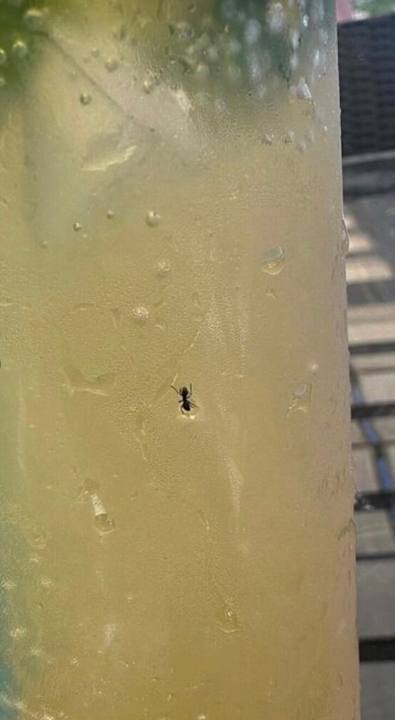 Gastro The Marilis Hill Resort Hotel & Spa Ultra All Inclusive