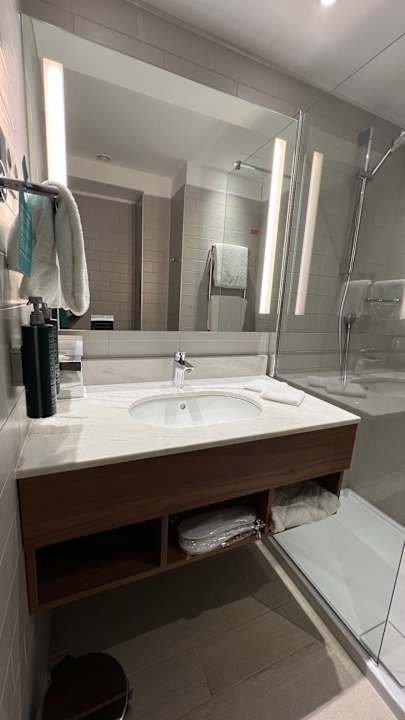 Zimmer Hilton Garden Inn Bucharest Old Town