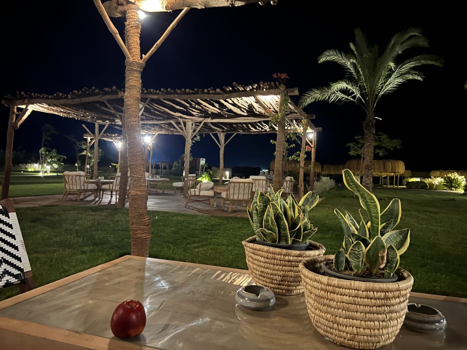 Gastro Steigenberger Resort Ras Soma