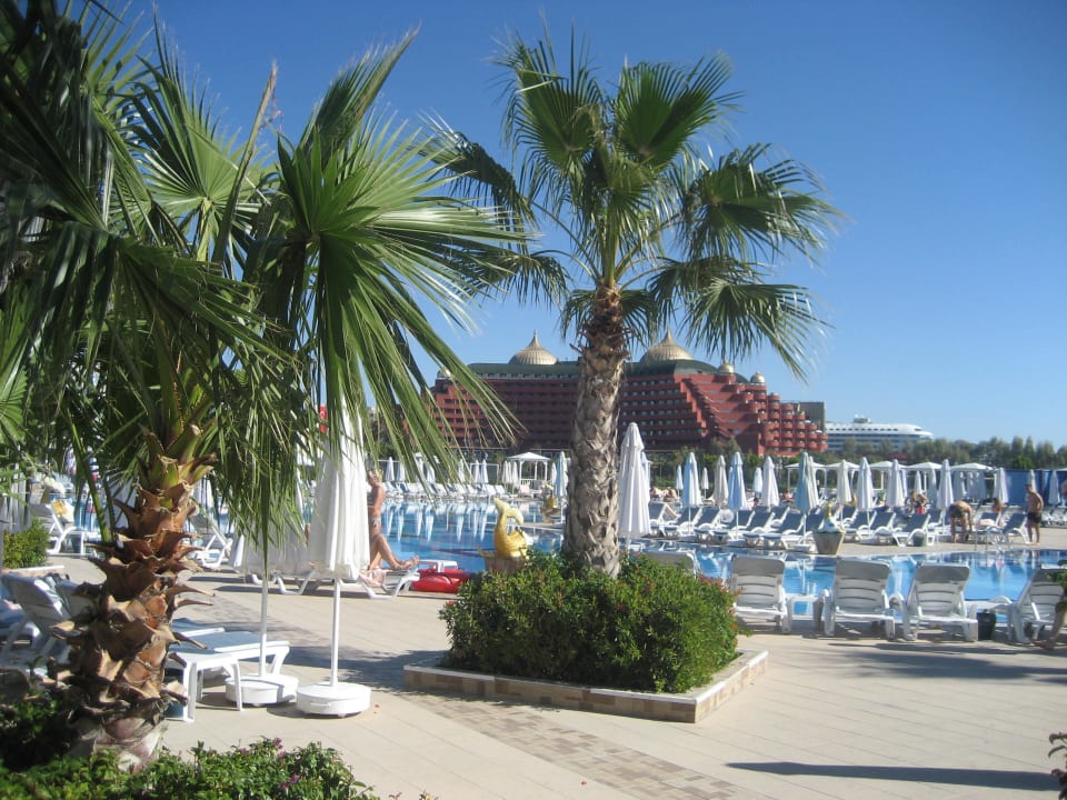 Pool  Hotel Delphin Imperial