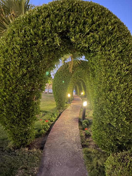 Gartenanlage Cleopatra Luxury Resort Makadi Bay