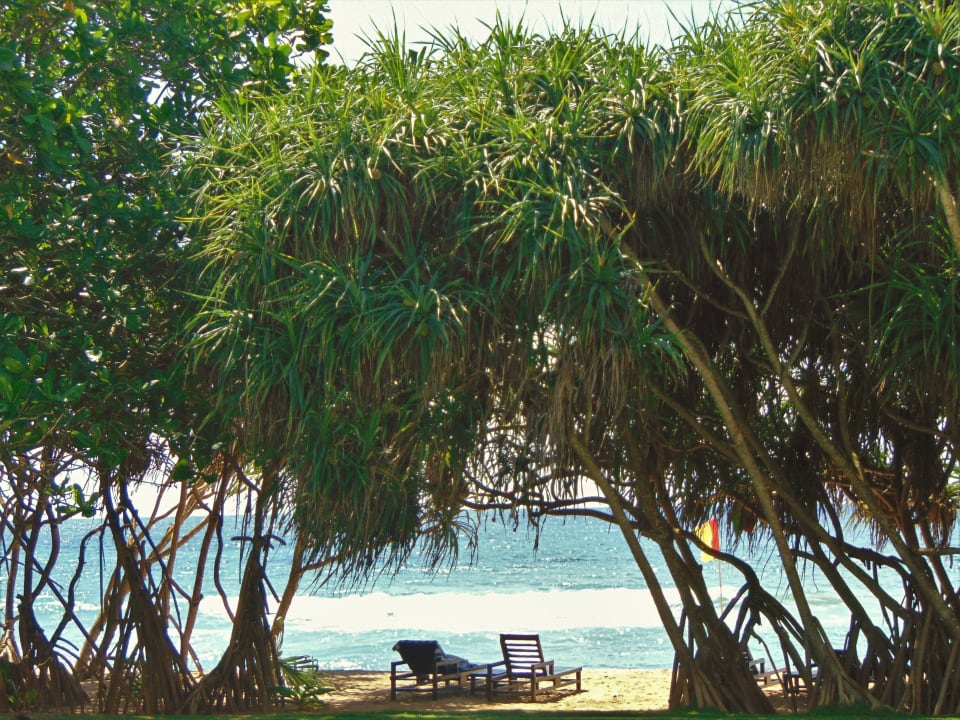 Strand Temple Tree Resort & Spa