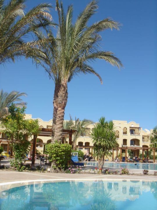 Pool Hotel JAZ Makadi Star & Spa