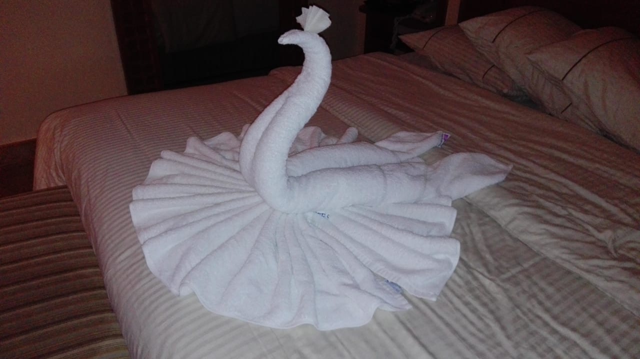 Schwan auf dem Bett Grand Waterworld Makadi & Family Star Makadi