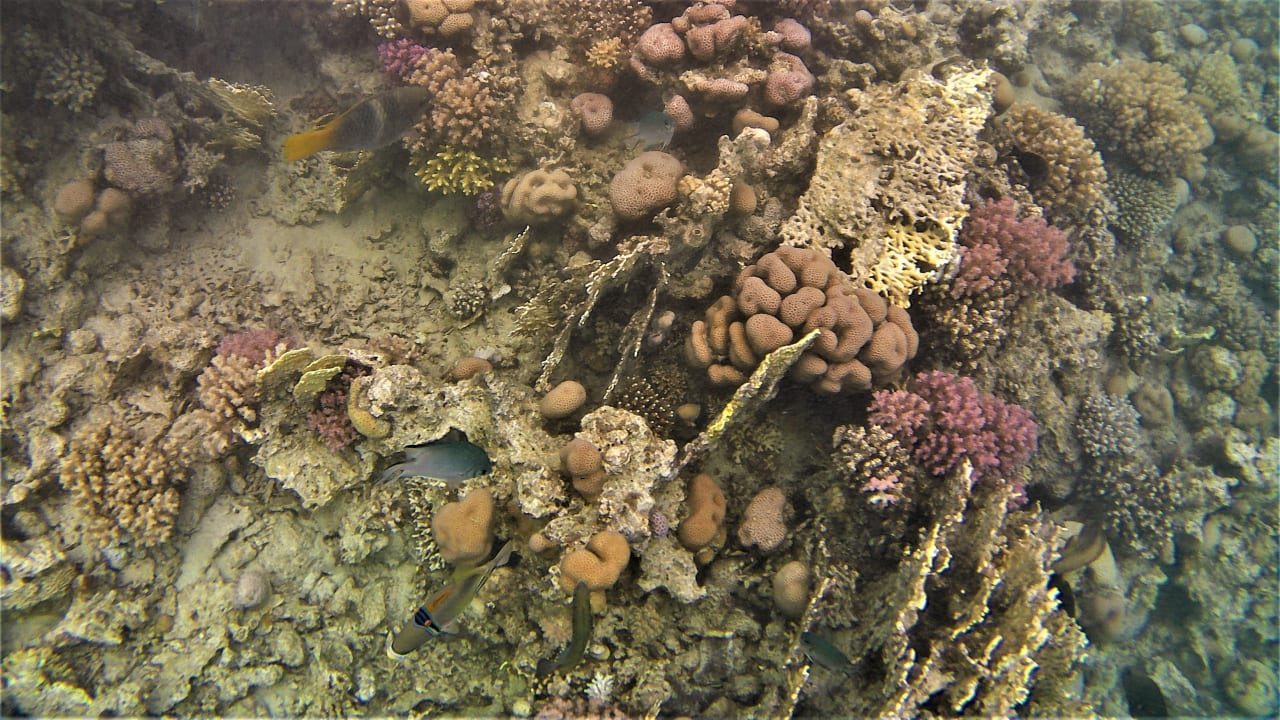 Sport & Freizeit Makadi Spa - Adults only