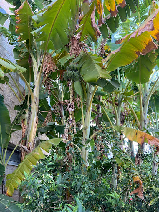 Außenansicht Hotel Aphrodite Beach