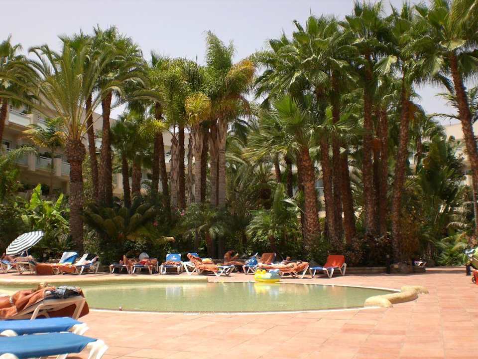 Kinderpool Tabaiba Princess