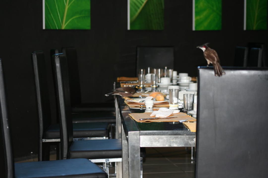 Restaurant Ambre Mauritius