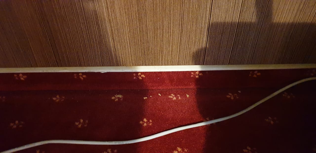 Zimmer acora City Apart Living the City