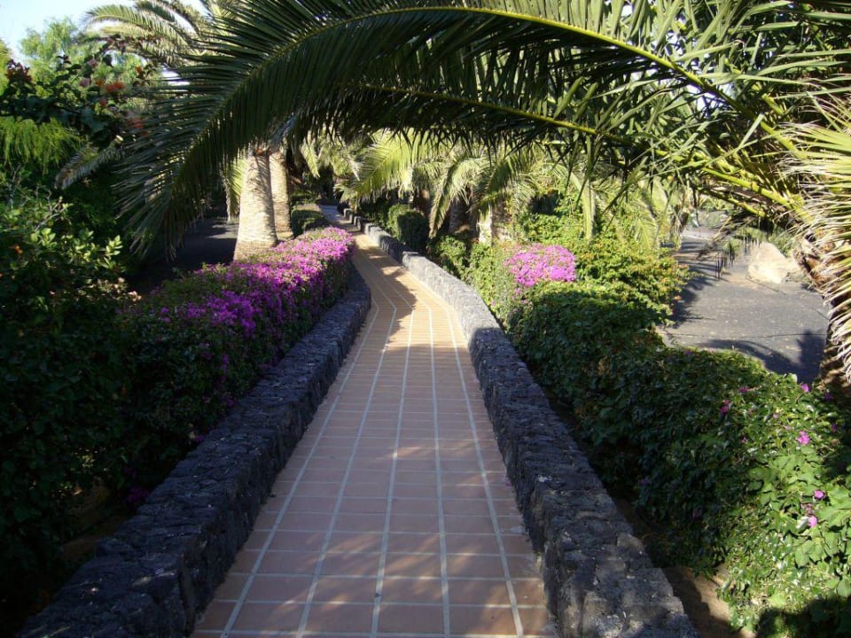 Weg vom Restaurant zu den Appartements Relaxia Olivina