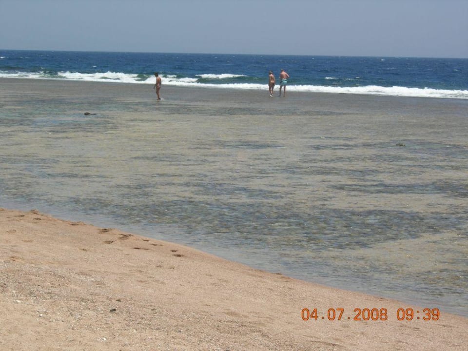 Der Suche nach 2. Teil Three Corners Sea Beach Resort