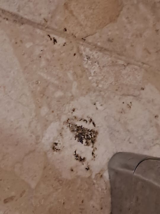 Zimmer Marien Puerto Plata