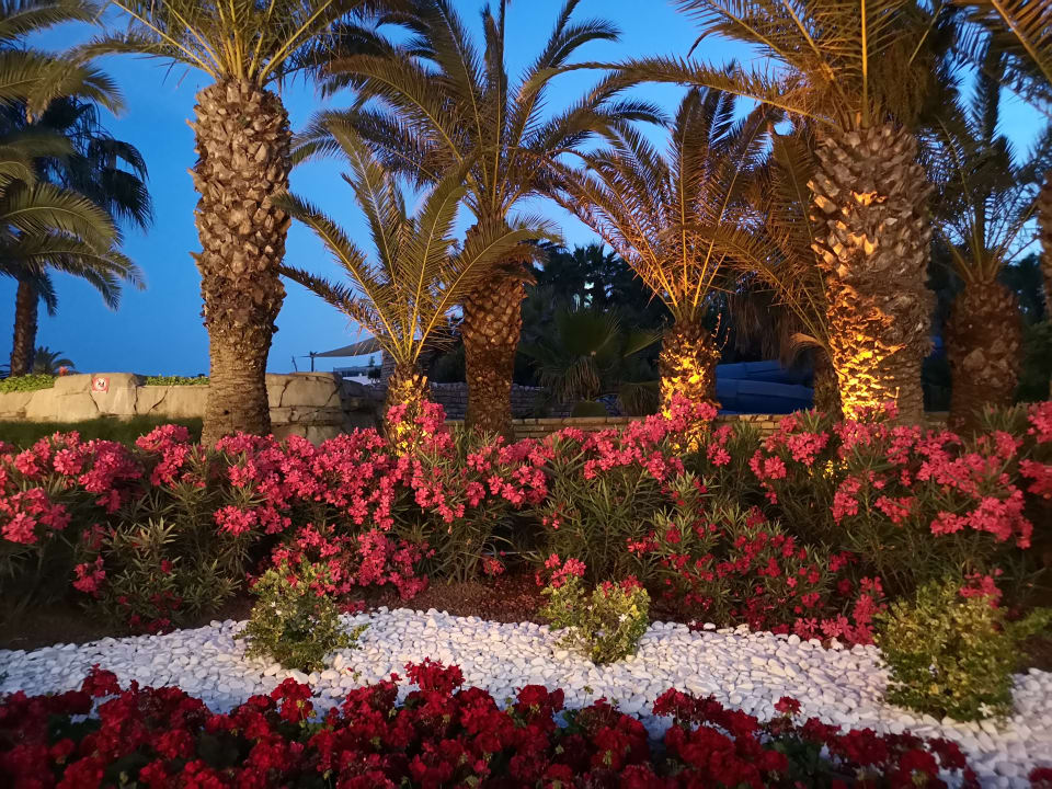 Gartenanlage Monachus Family Resort Sorgun