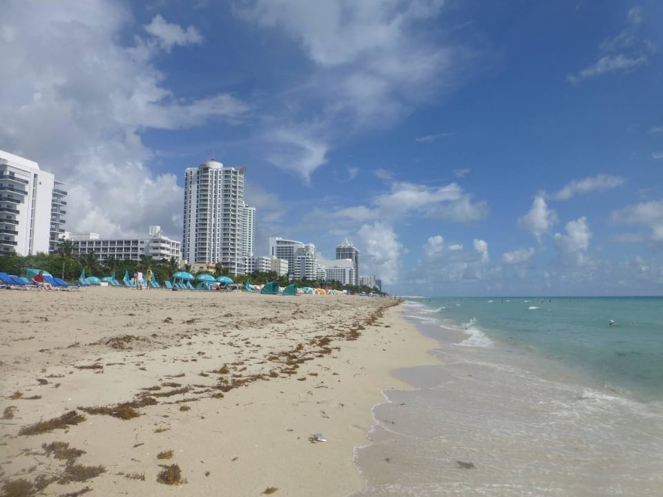 Strand Hotel Croydon Miami Beach