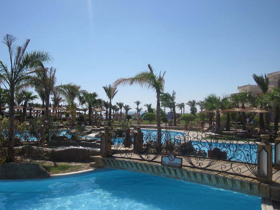 Pool Pickalbatros Palace Resort
