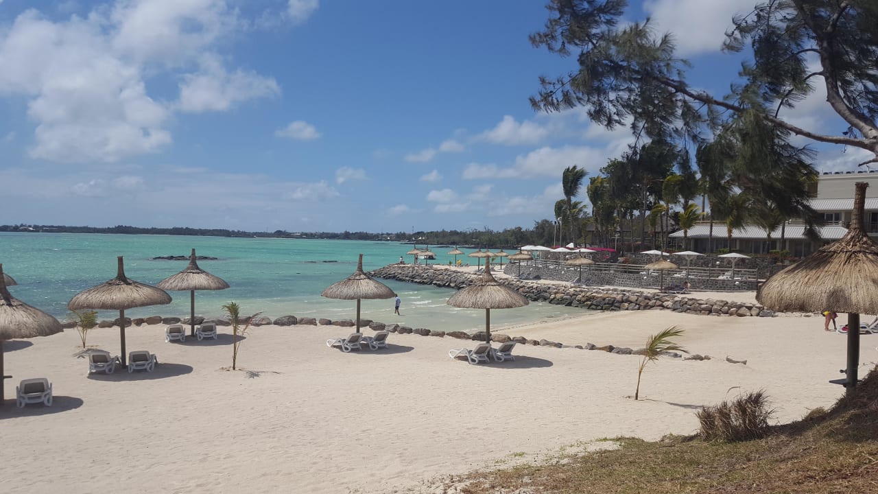 Tolle Liegen und schöne Schirme Lagoon Attitude - Adults only