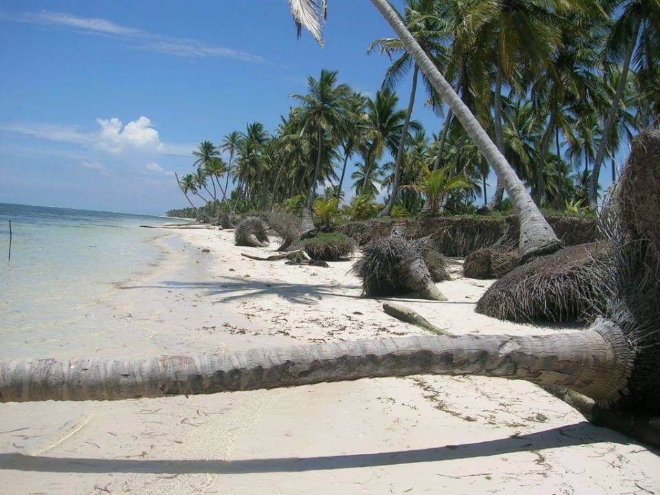 Unberührter Naturstrand neben dem Hotel Catalonia Punta Cana - All Inclusive