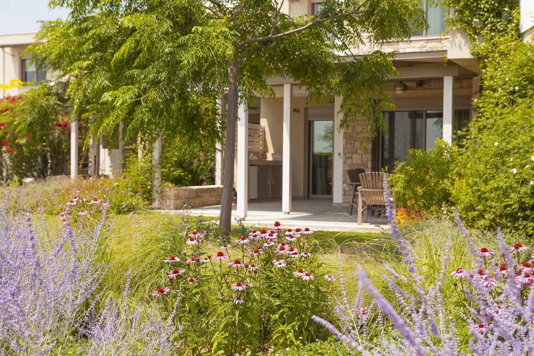 Garden of Ammouda Villas Ammouda Villas