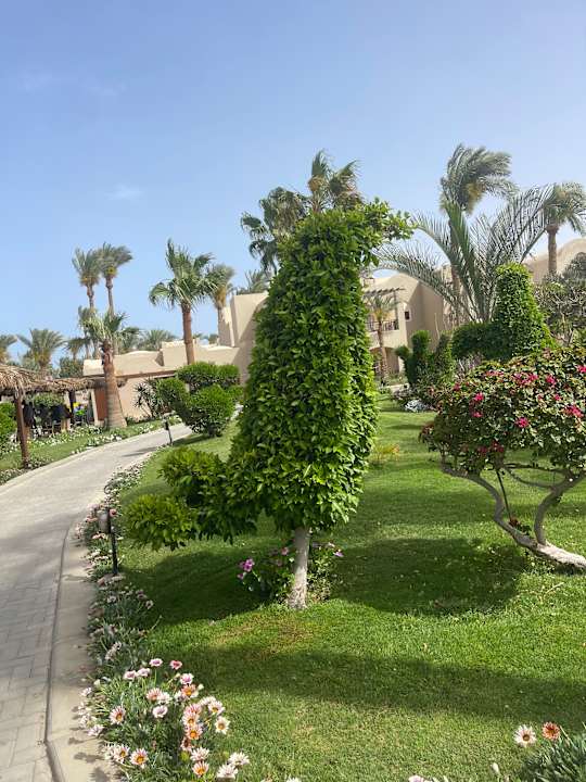 Gartenanlage Jaz Makadi Oasis Resort