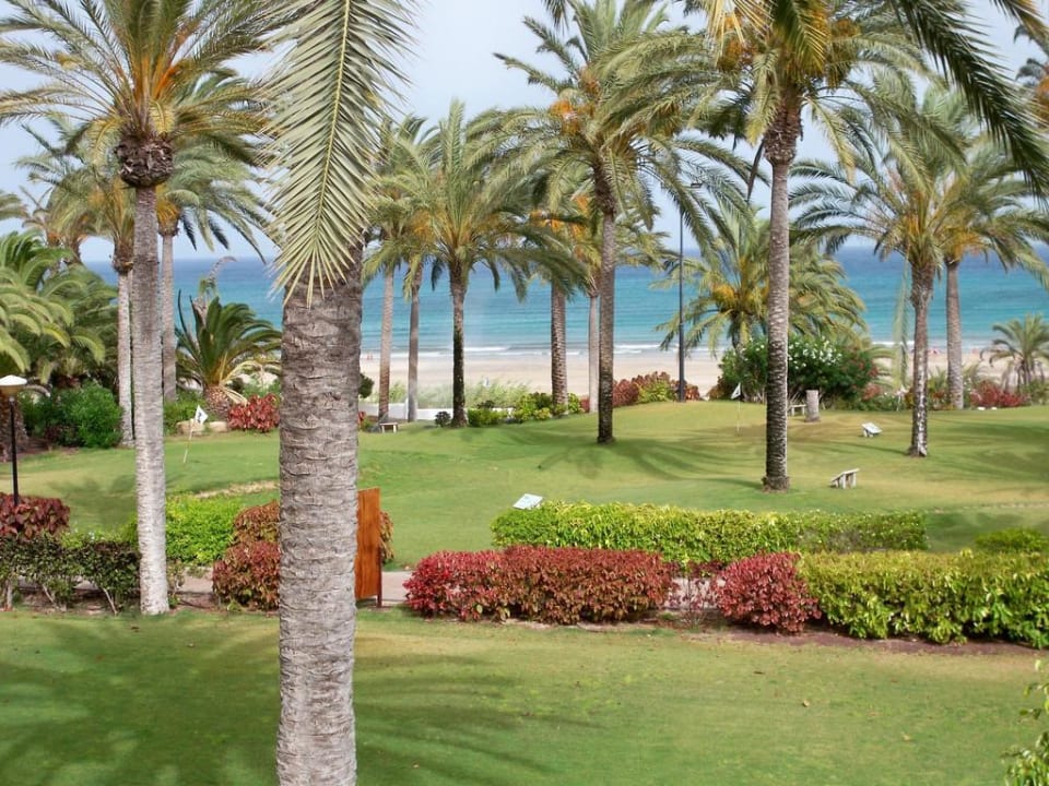 Blick vom Balkon SBH Hotel Costa Calma Palace