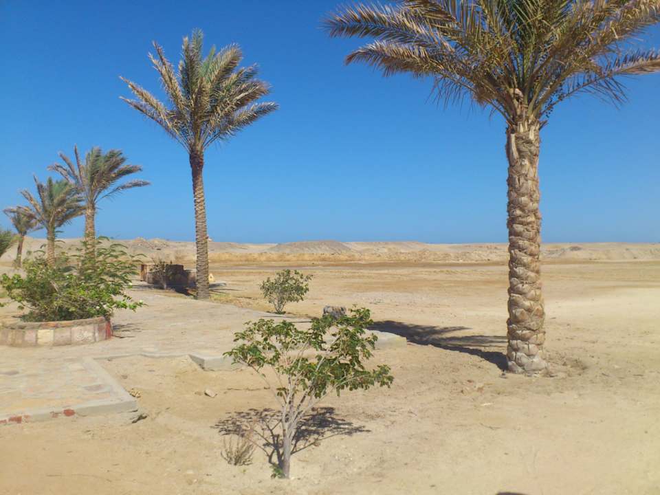 Desert next to the hotel Pensée Royal Garden Beach Resort