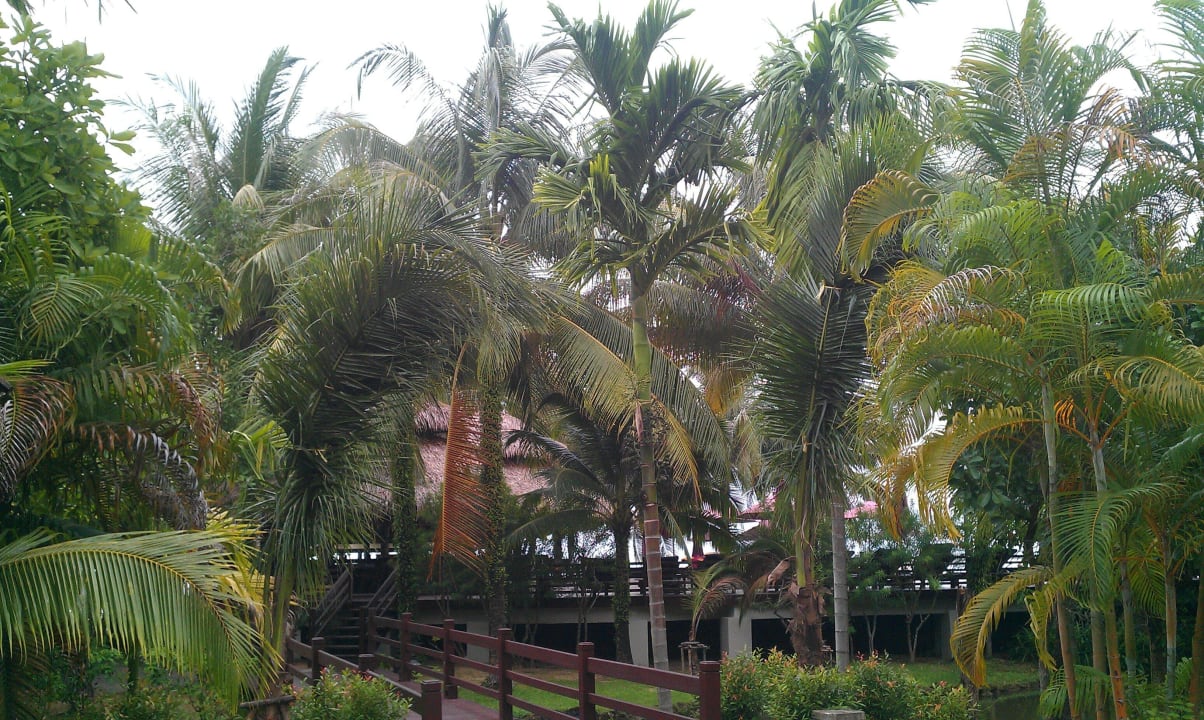 Auf zum Pool Khaolak Laguna Resort