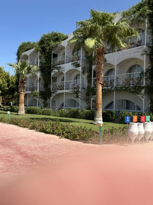 Außenansicht Desert Rose