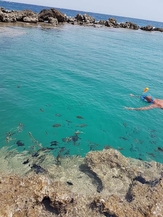 Strand Pickalbatros Citadel Resort