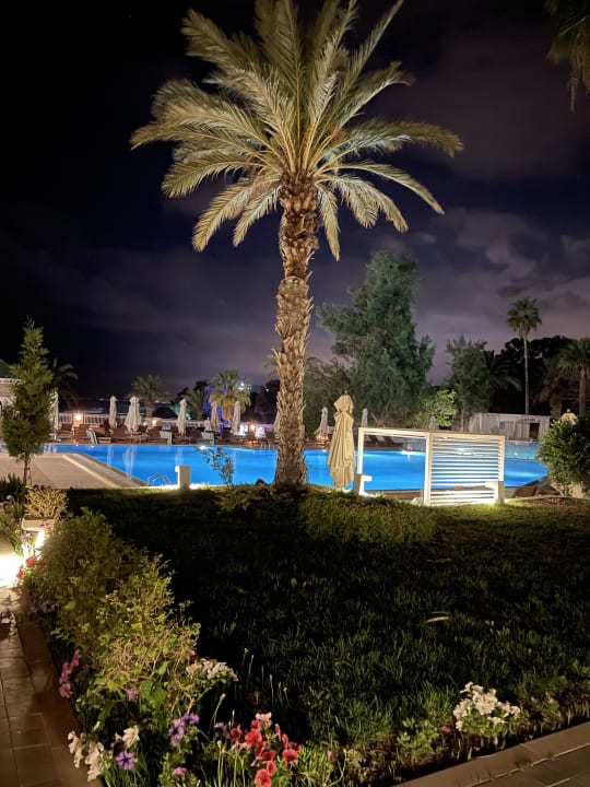 Pool Hotel Bel Azur Thalasso & Bungalows