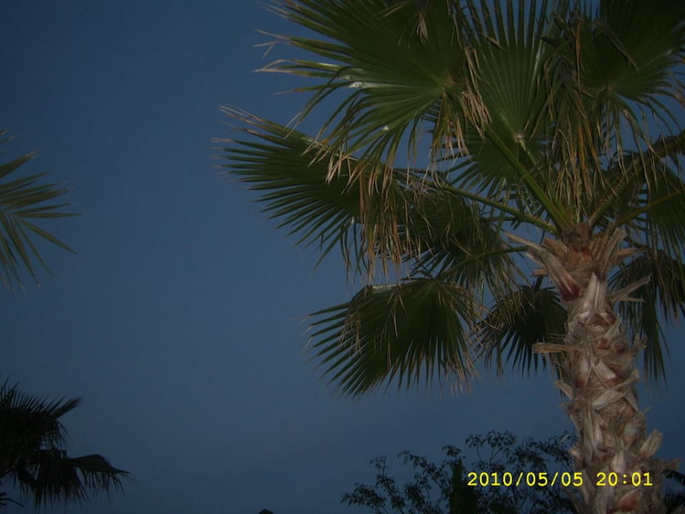 Palme Belek Beach Resort Hotel