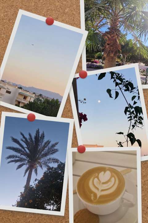 Außenansicht Desert Rose