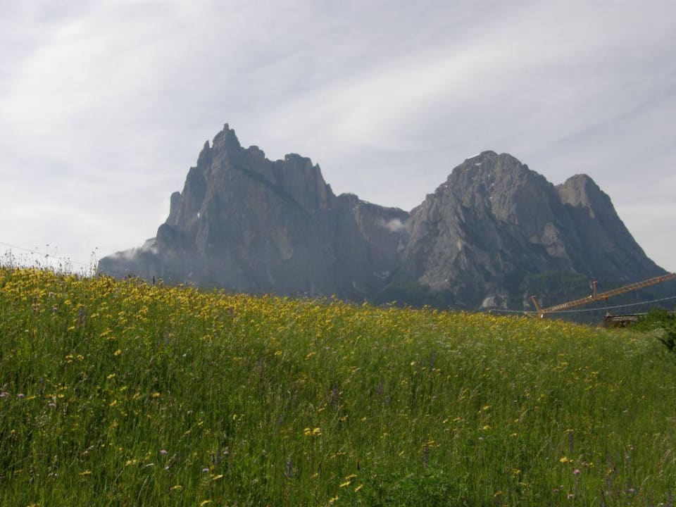 Dolomiten Naturpark Hotel Stefaner