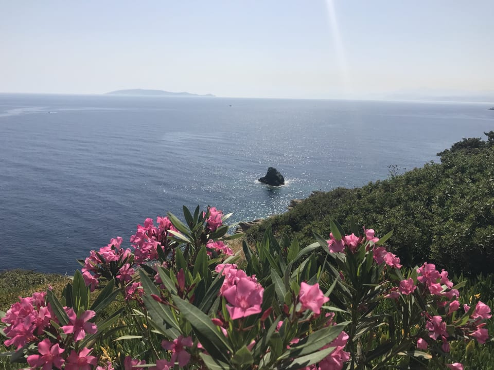 Ausblick Seaside A Lifestyle Resort