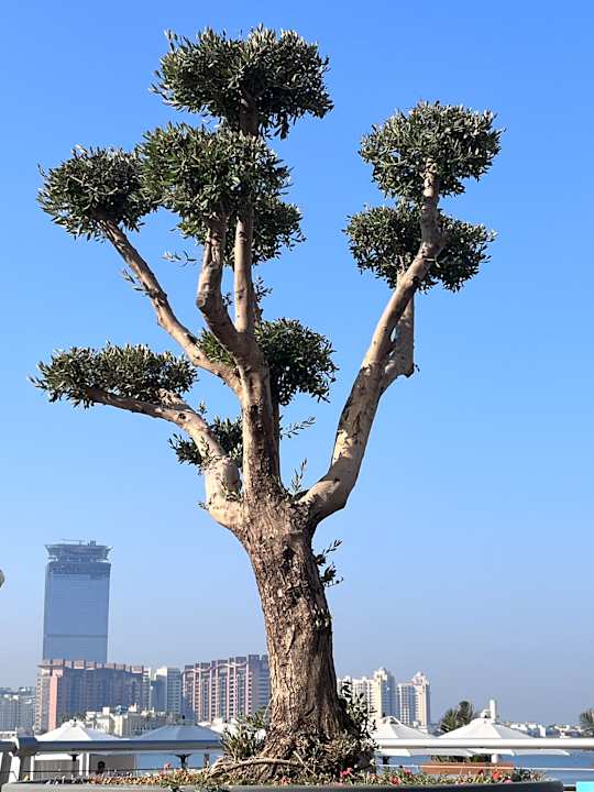 Ausblick Taj Exotica Resort & Spa, The Palm, Dubai