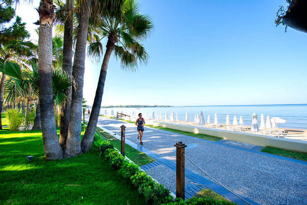 Beach Acanthus Cennet Barut Collection