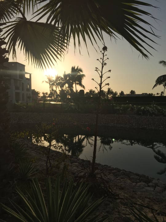 Garten Salalah Rotana Resort