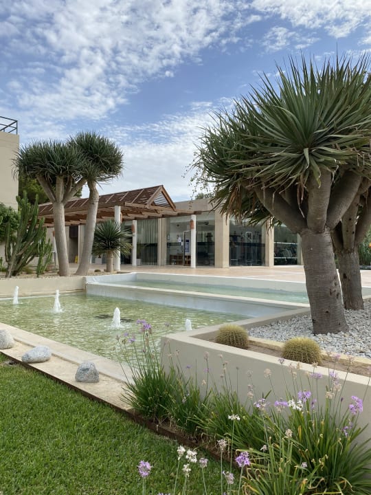 Sonstiges allsun Hotel Eden Playa