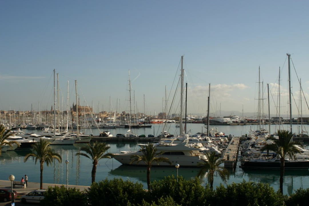 Ausblick Pool Melia Palma Marina