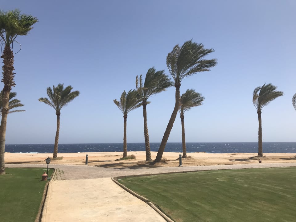 Strand Steigenberger Coraya Beach - Adults only