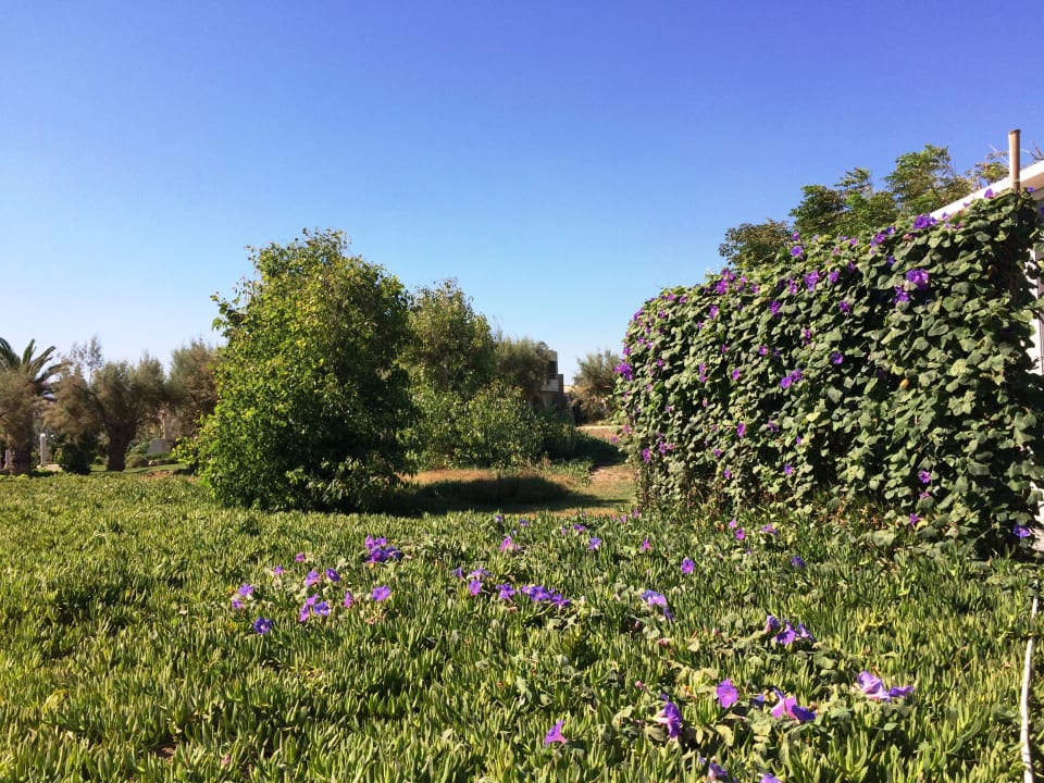 Gartenanlage Santa Marina Beach