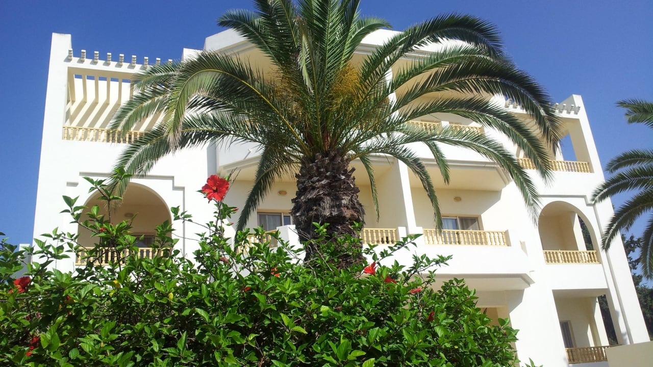 Hotel mit Palme Calimera Delfino Beach Resort & Spa