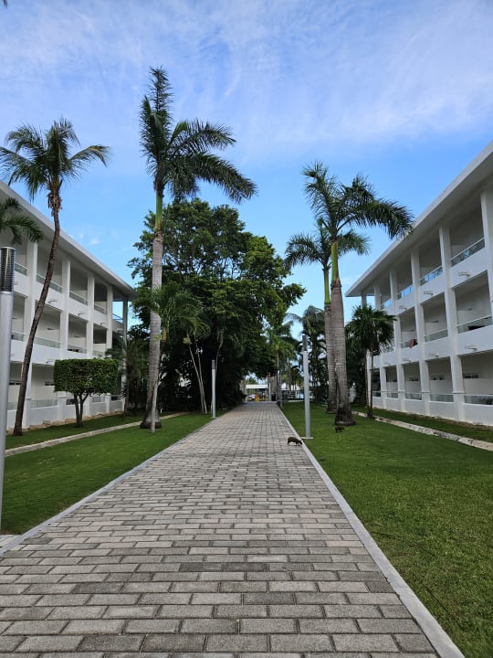 Gartenanlage Hotel Riu Playacar