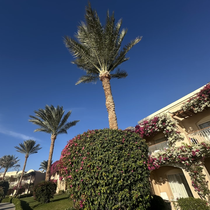 Außenansicht TUI MAGIC LIFE Kalawy